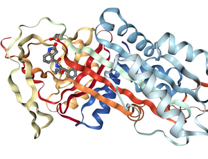 1. Alpha-1 Patiententag 1. Alpha-1 Patiententag