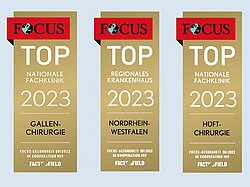 Siegel_2023_Severinskloesterchen_KH_Huefte_Gallenblase.jpg Siegel_2023_Severinskloesterchen_KH_Huefte_Gallenblase.jpg